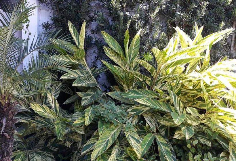 Пансион Pousada Via Maria