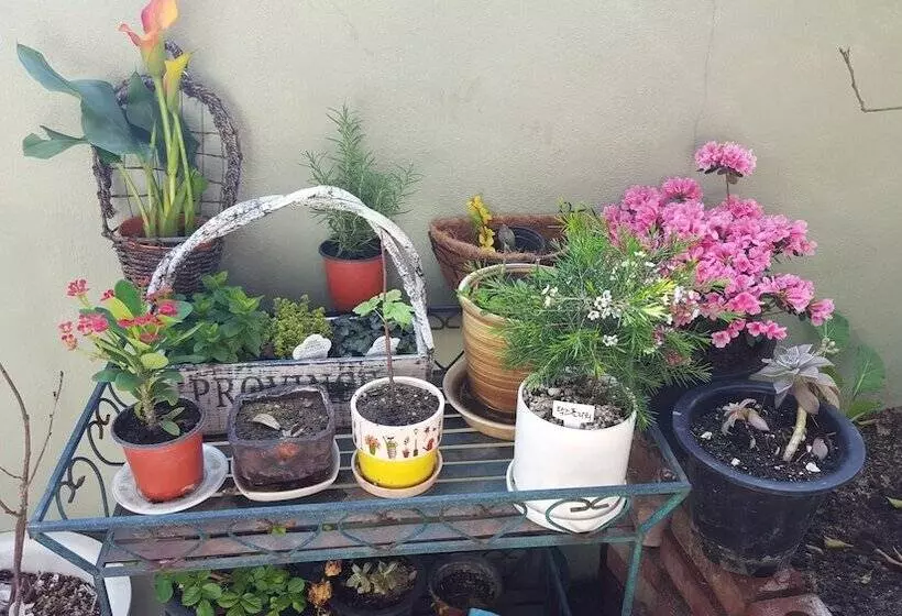 ペンション Wellbeing Guesthouse