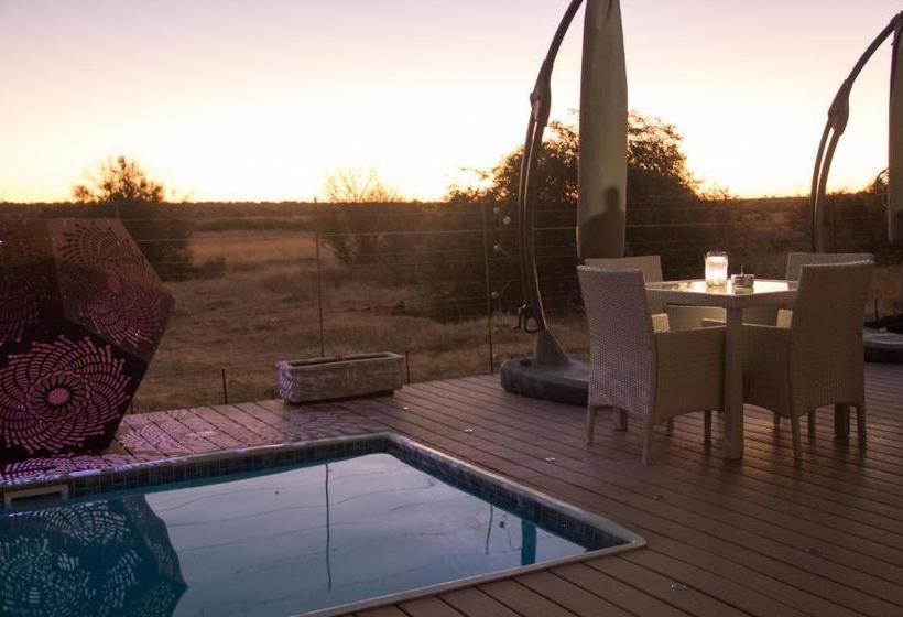 بنسيون Game View Lodge