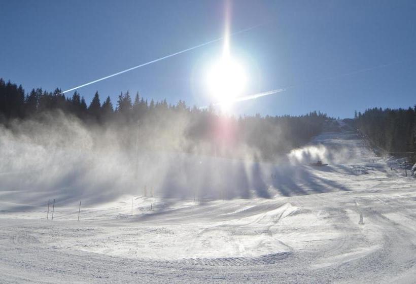 پانسیون Guest House Zavicaj Pale