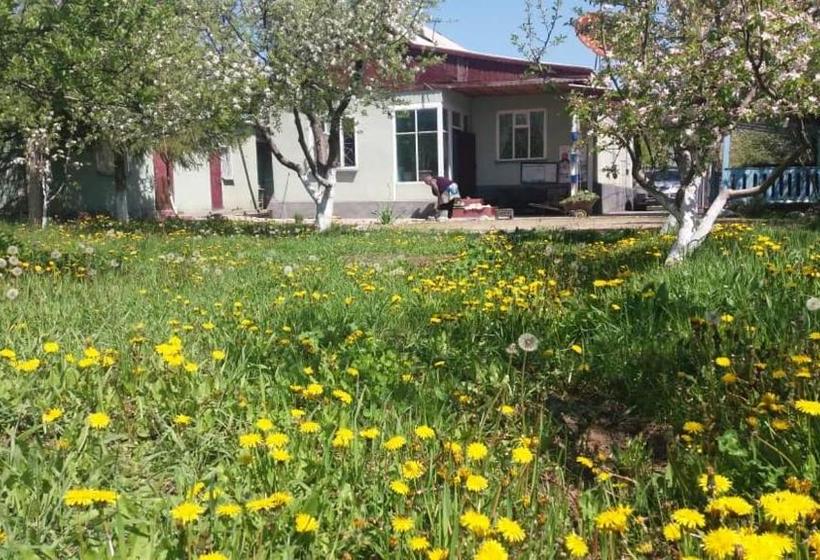 پانسیون Guesthouse Kishimzhan