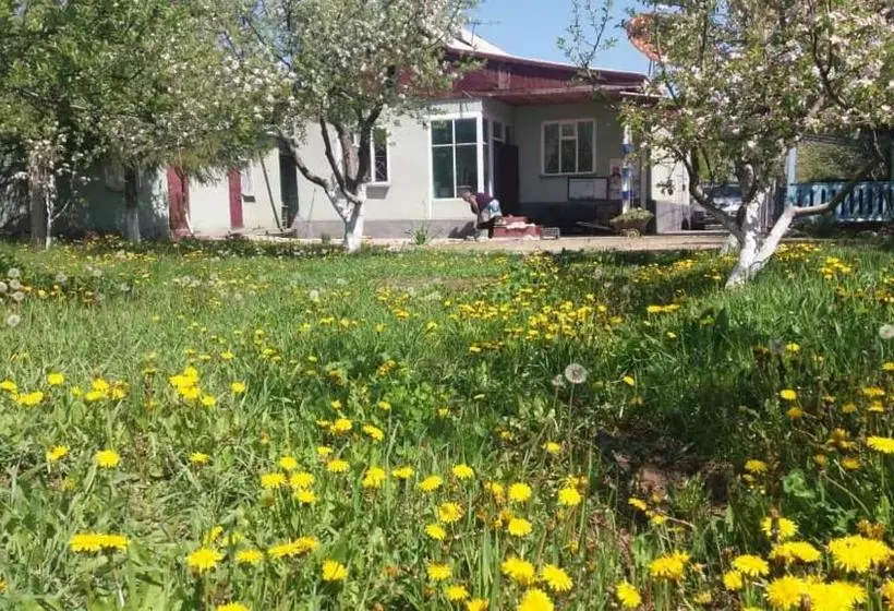 پانسیون Guesthouse Kishimzhan