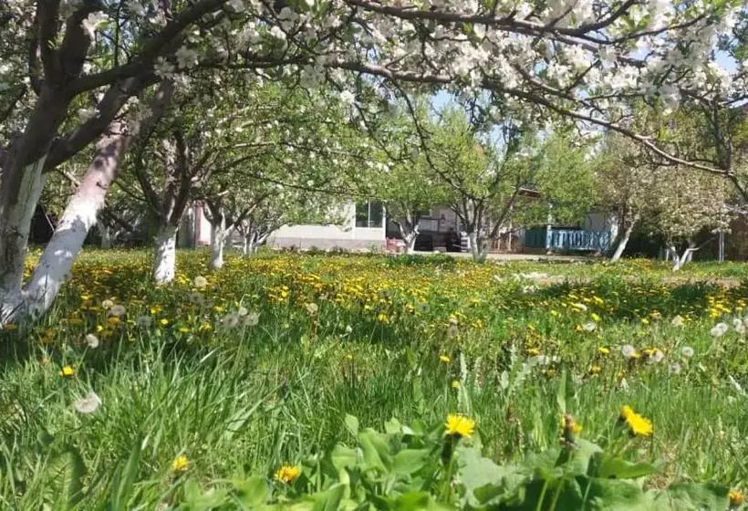 پانسیون Guesthouse Kishimzhan