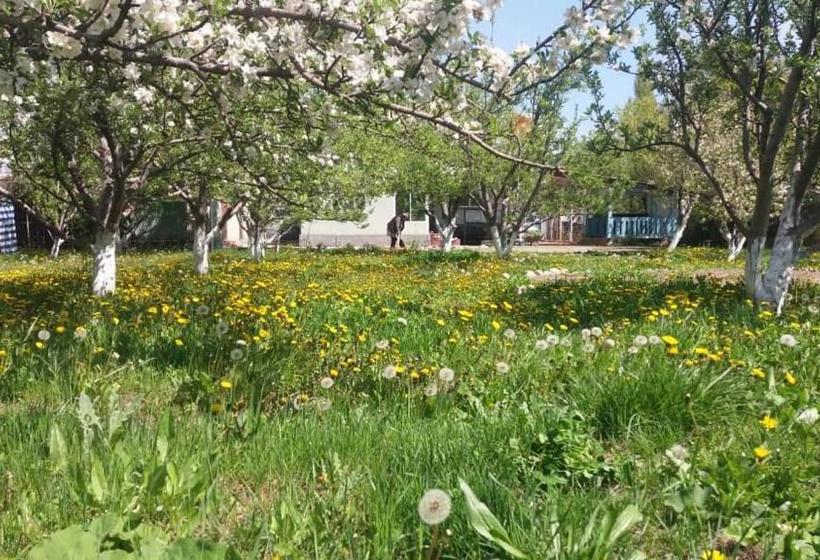 پانسیون Guesthouse Kishimzhan