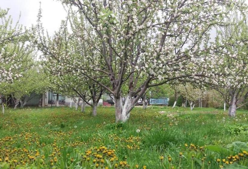 پانسیون Guesthouse Kishimzhan