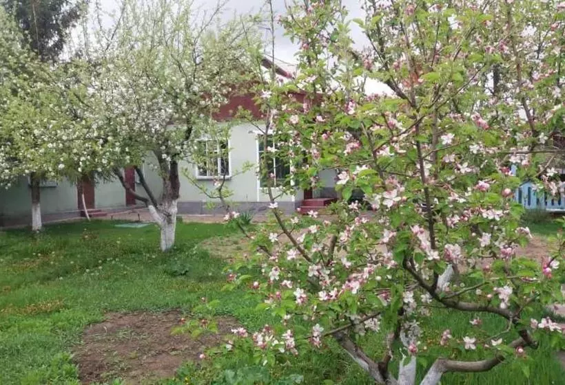 پانسیون Guesthouse Kishimzhan