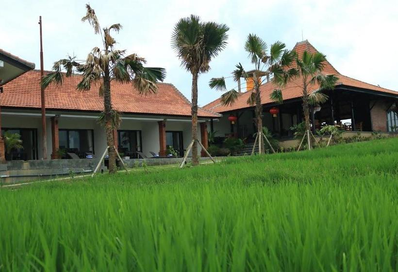 פנסיון Kampung Canggu