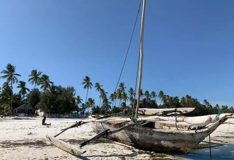 ペンション Mohammed Bungalows And Restaurant