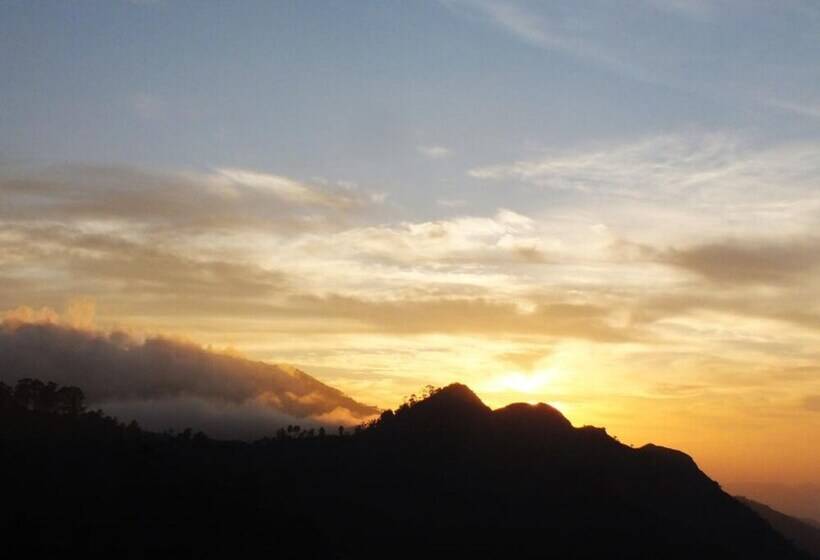 Pensjonat Monarch Ella