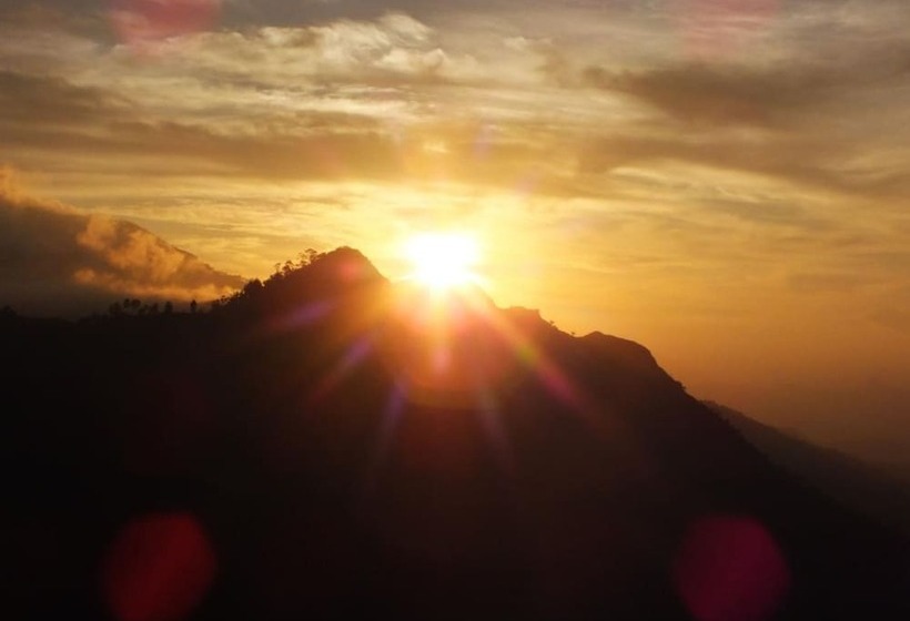 Pensjonat Monarch Ella