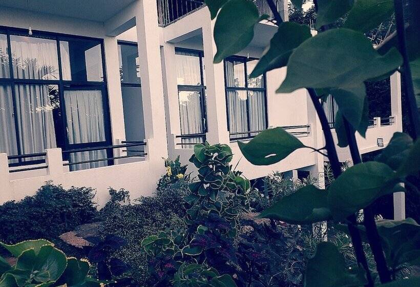 Pensjonat Monarch Ella