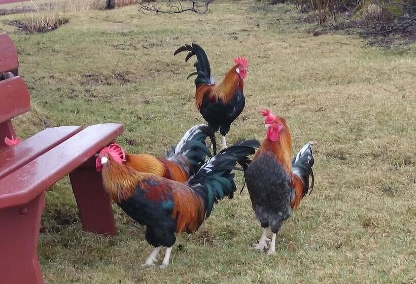 پانسیون Sel Guesthouse