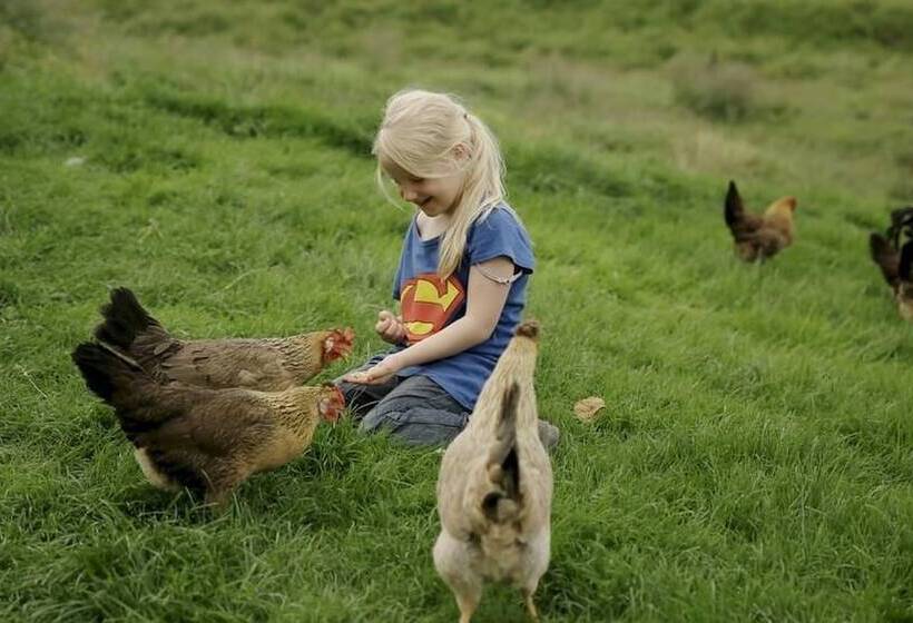 پانسیون Sel Guesthouse