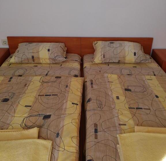 پانسیون Guest House Vasilevi