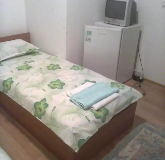 ペンション Guest House Vasilevi