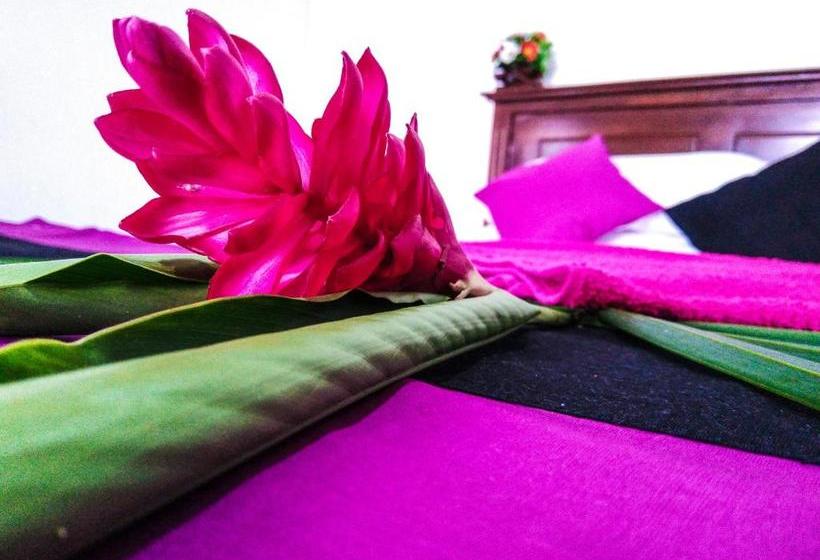 ペンション Mick Villa