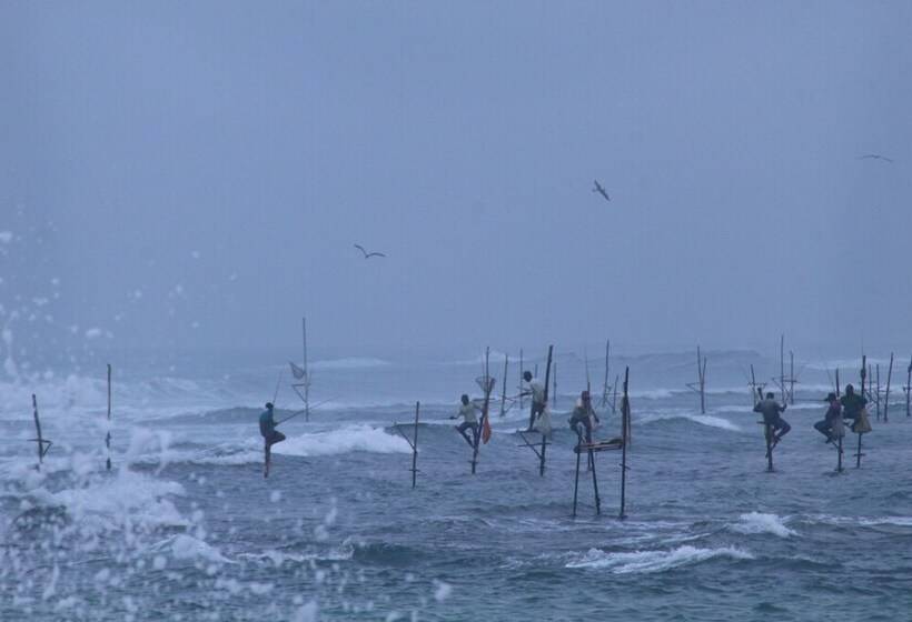 פנסיון Together Beach House