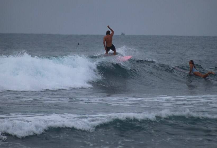 פנסיון Together Beach House