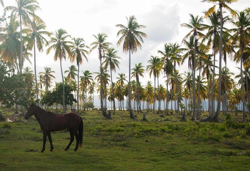 پانسیون 21 Palms
