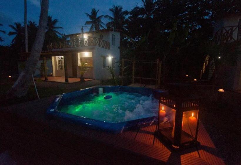 پانسیون 21 Palms