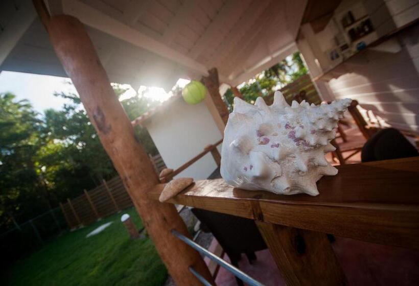 پانسیون 21 Palms