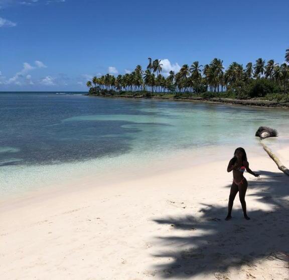 پانسیون 21 Palms