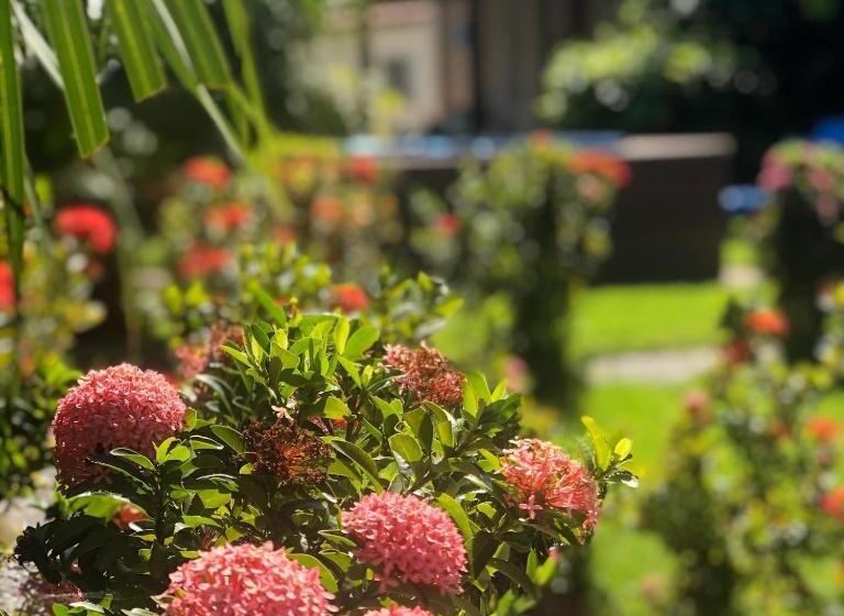 پانسیون 21 Palms