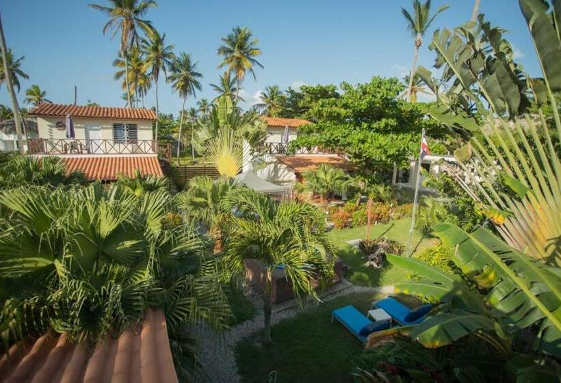 پانسیون 21 Palms