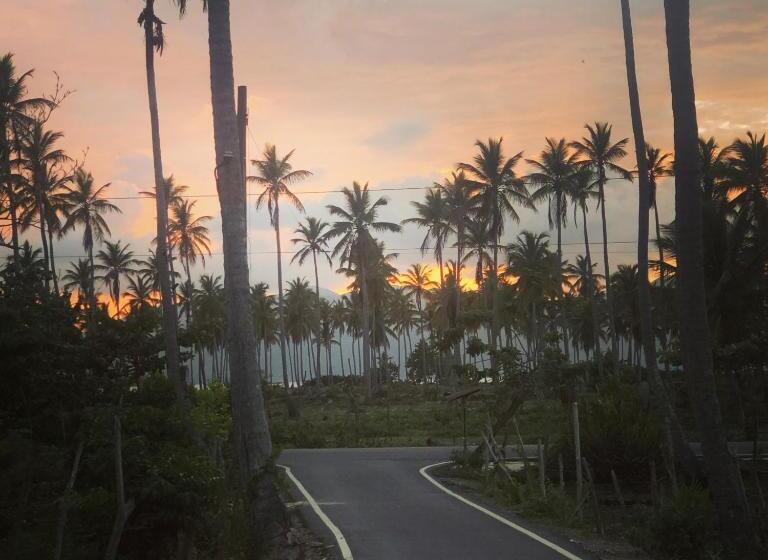 پانسیون 21 Palms