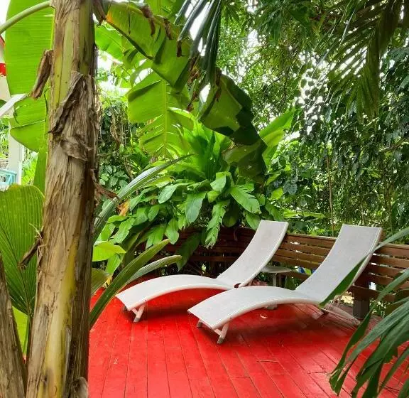 پانسیون Gîte Zandoli Koko