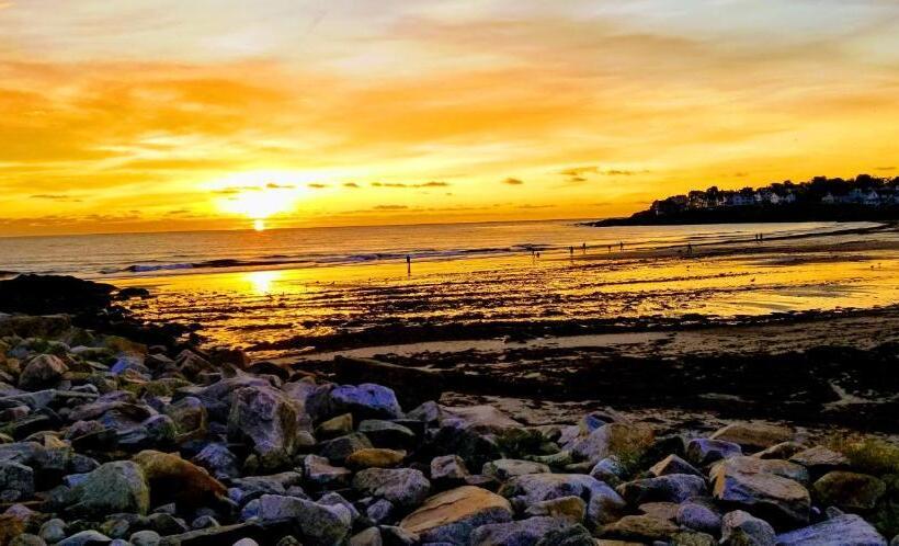 旅馆 The Lynwood Inn