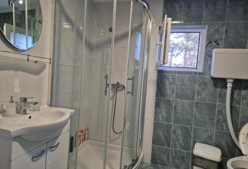 پانسیون Apartment Dedine Golubac