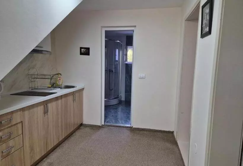 پانسیون Apartment Dedine Golubac