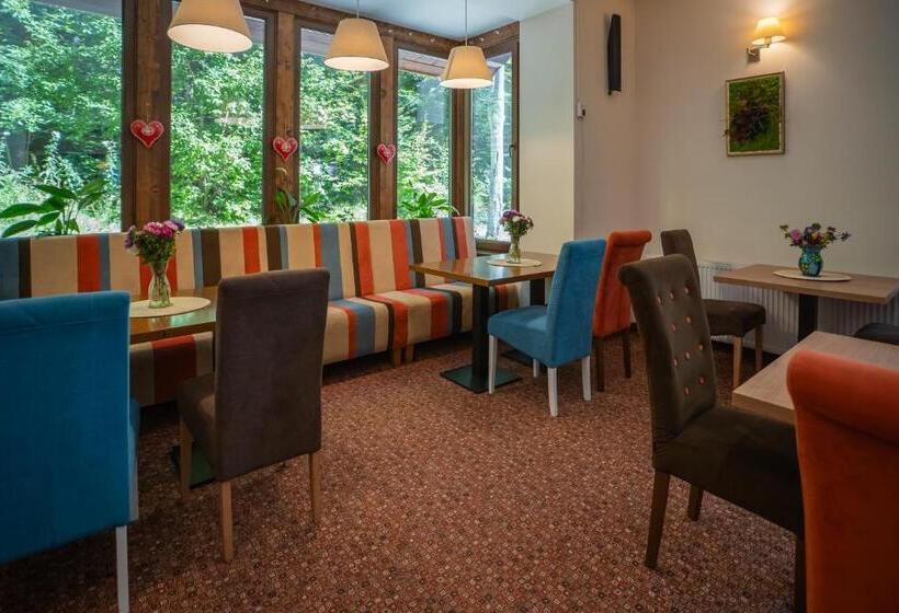 بنسيون Opus Villa