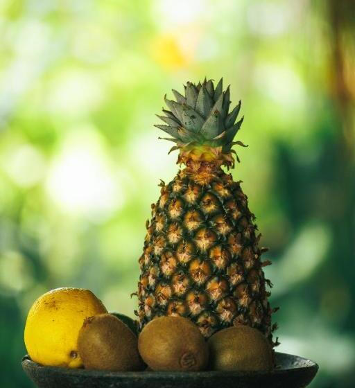 پانسیون Pousada Pouso Da Maré