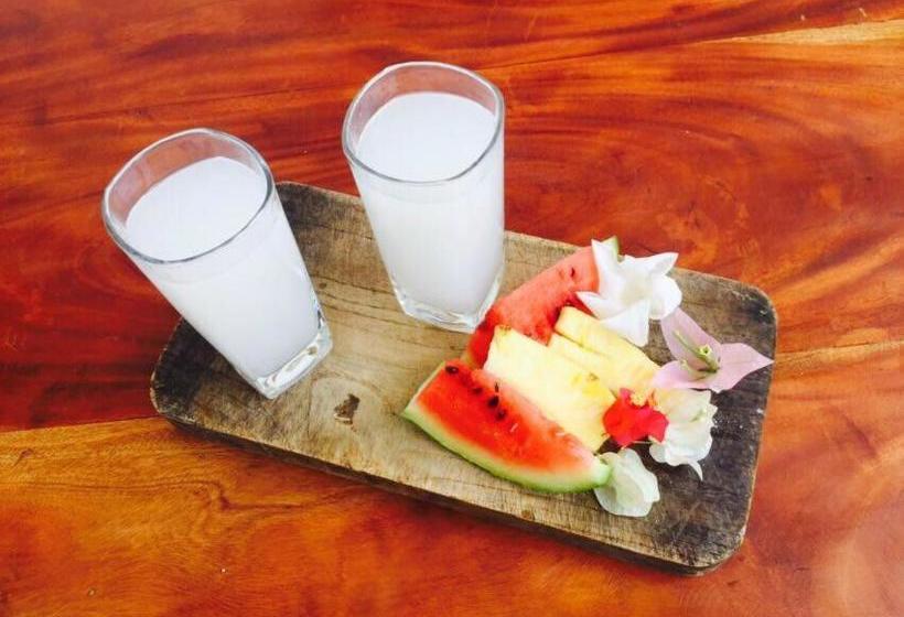 膳宿费 Sanctuary Cove Guest House