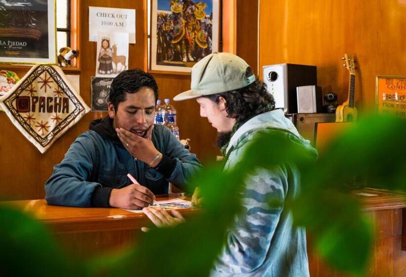 هاستل Pacha Confort