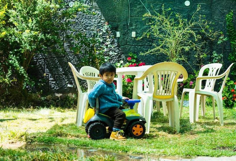 هاستل Pacha Confort