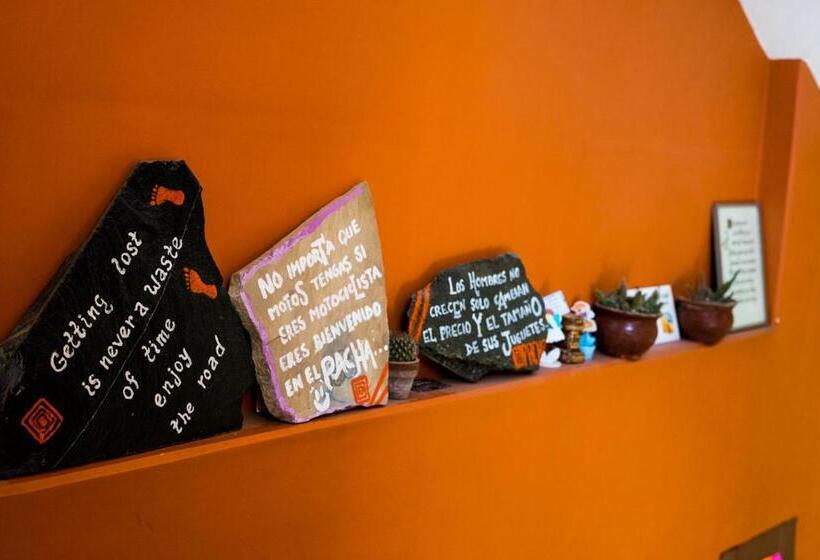 هاستل Pacha Confort