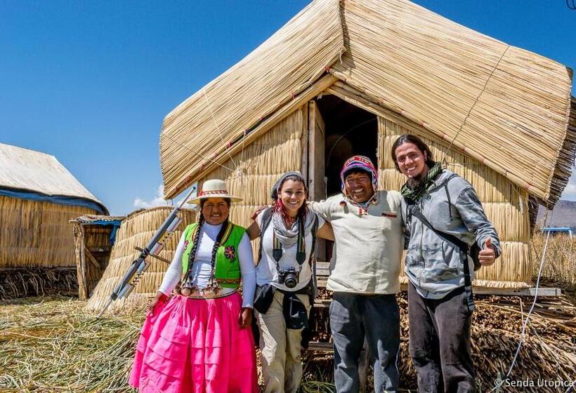 هاستل Pacha Confort