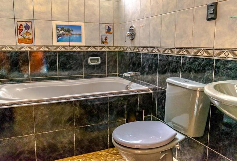 هاستل Pacha Confort