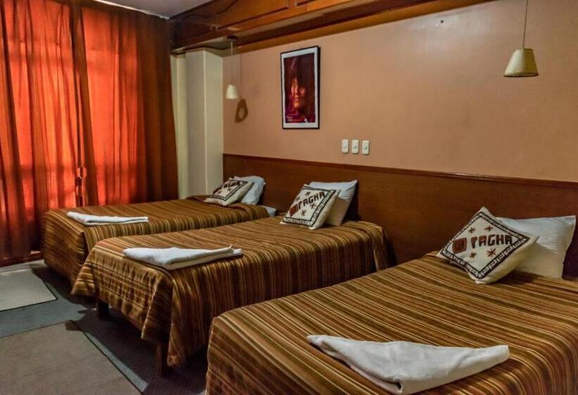 هاستل Pacha Confort