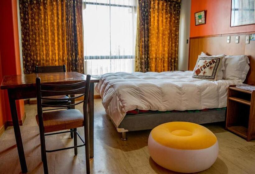 هاستل Pacha Confort