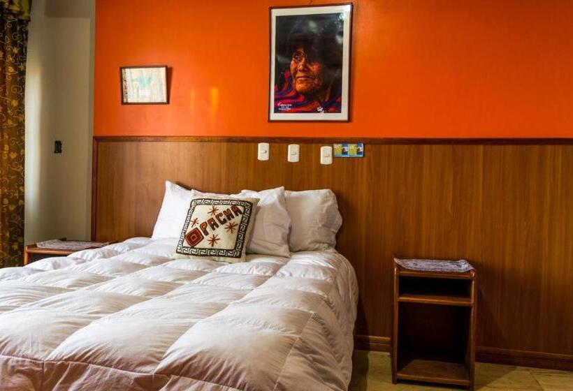 هاستل Pacha Confort