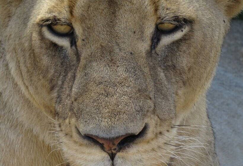 호스텔 Thokozani Lodge