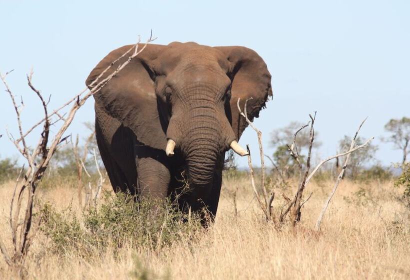 호스텔 Thokozani Lodge