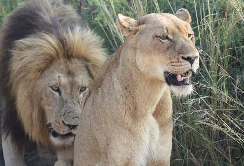 Retkeilymaja Thokozani Lodge