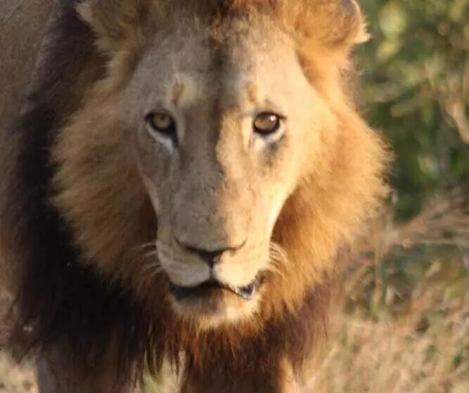 Retkeilymaja Thokozani Lodge