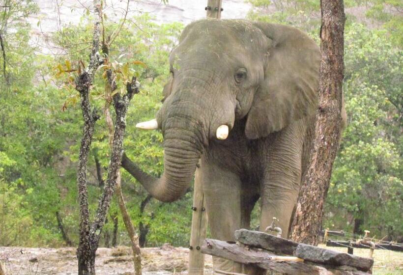 호스텔 Thokozani Lodge