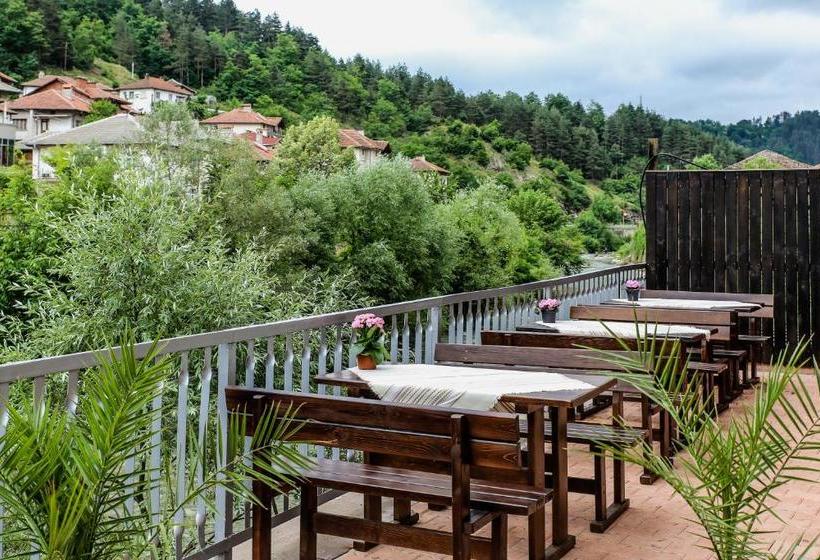 Pensionat бялата къща